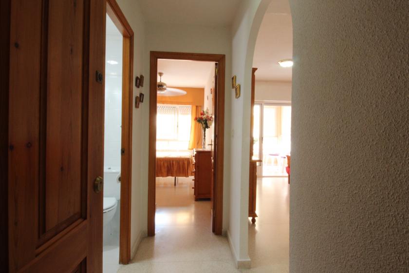 REAL ESTATE, NEXUS GROUP RENT APARTMENT IN THE CENTER OF GUARDAMAR DEL SEGURA in Nexus Grupo